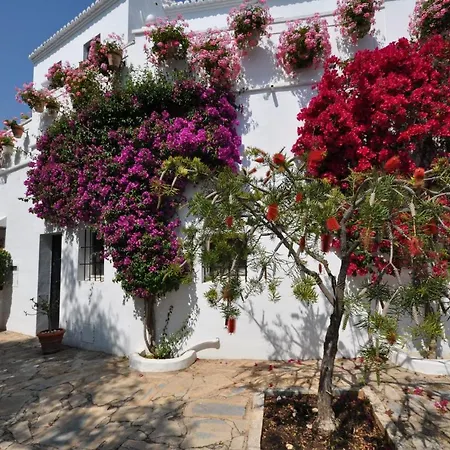 All About Lomas De Club Pueblo Ferienhaus Marbella