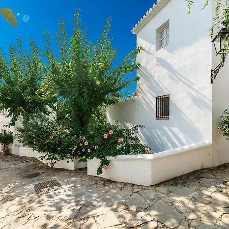 All About Lomas De Club Pueblo *